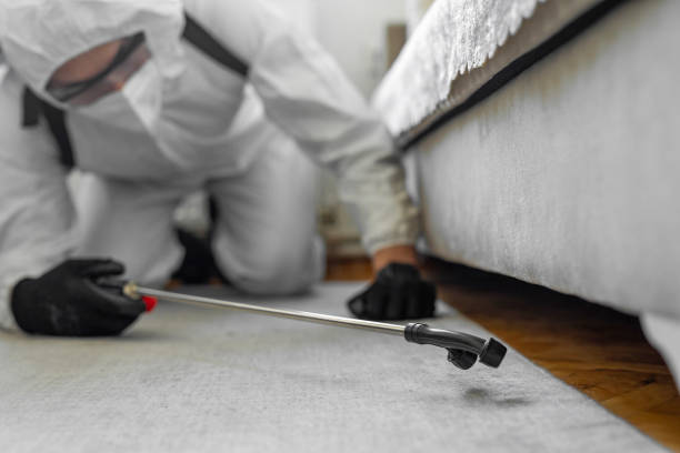 Professional Termite Control technician working in San Elizario, TX