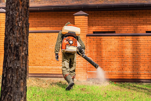 Trusted Rodent Control service in San Elizario, TX - Nex Pest Control